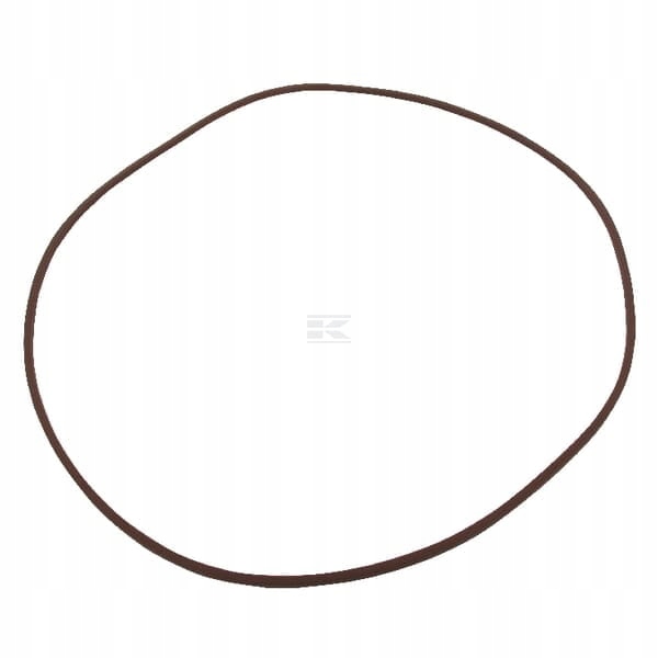 Těsnicí kroužek New Holland 5165511 New Holland