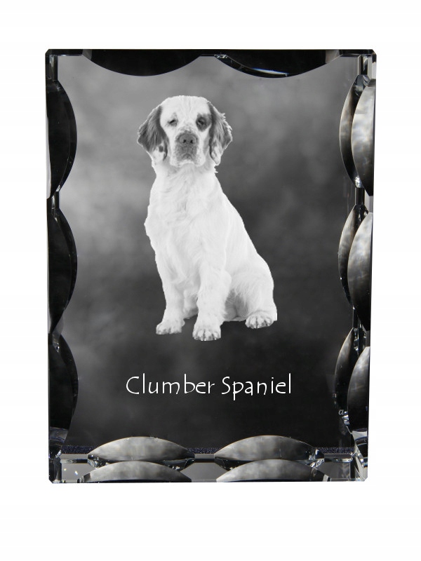 Clumber Spaniel fotografia psa v ozdobnom kryštáli, suvenír, dekorácia domu
