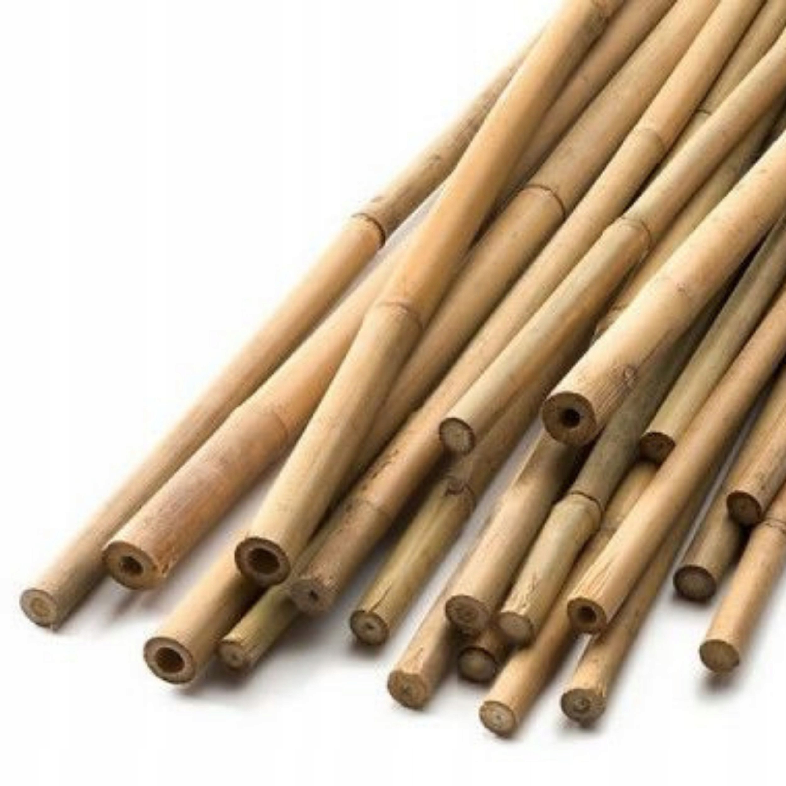 BioBamboo Stick tyczka bambusowa 60cm 6-8mm bambus Liczba sztuk w opakowaniu 1 szt.