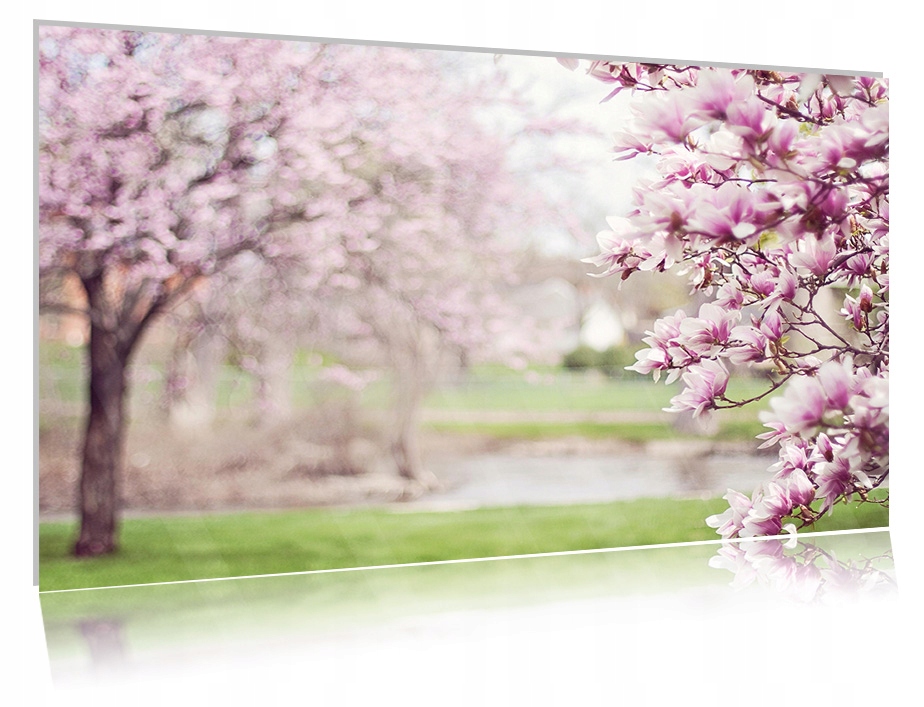 

Obraz szklany na szkle Magnolia 06 30x20