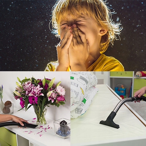 Numatic HVA160 Henry odkurzacz ANTYALERGICZNY HEPA Kolor dominujący niebieski