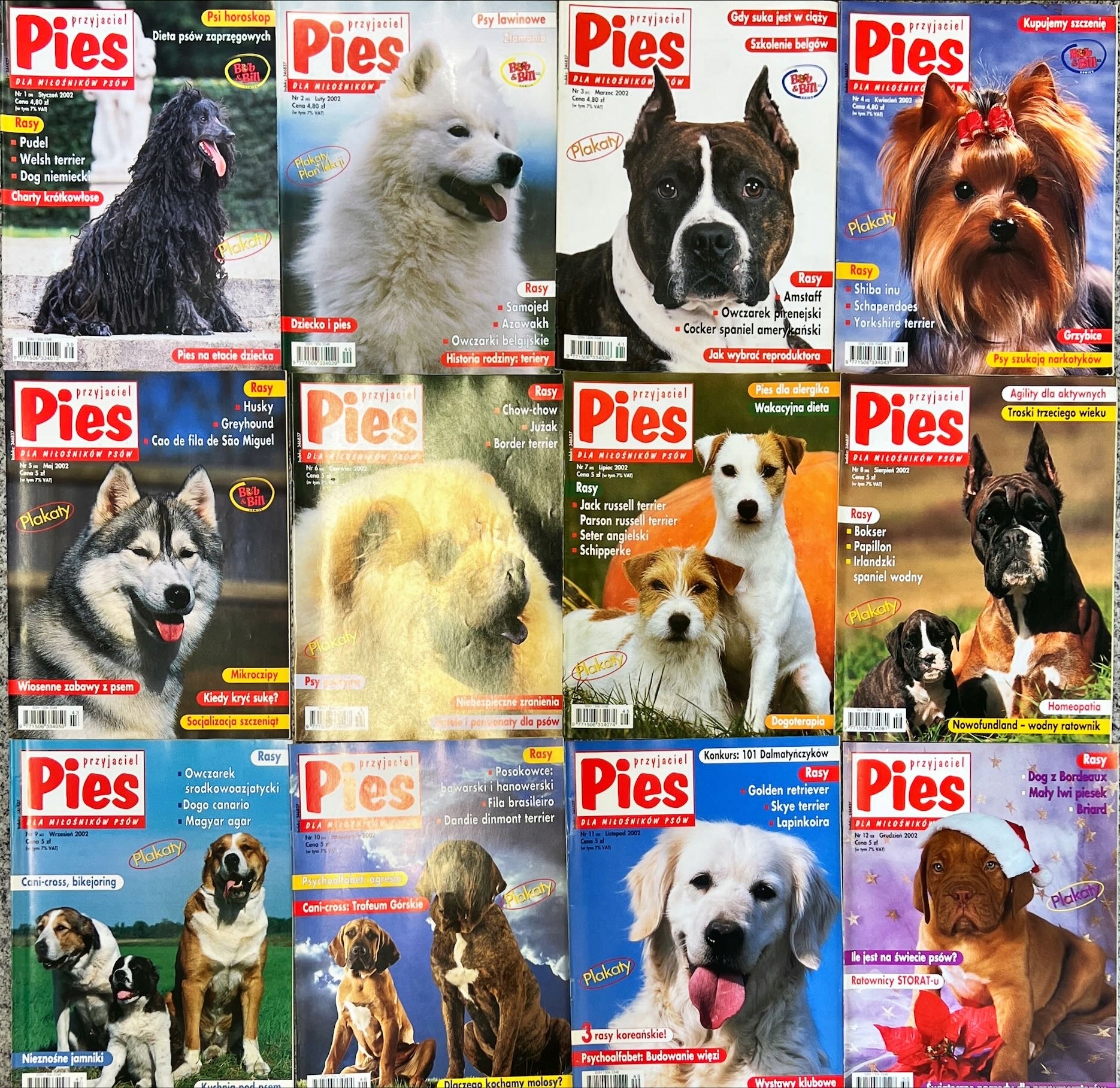 CZASOPISMO PRZYJACIEL PIES KOMPLET 12 NUMERÓW ROK 2002