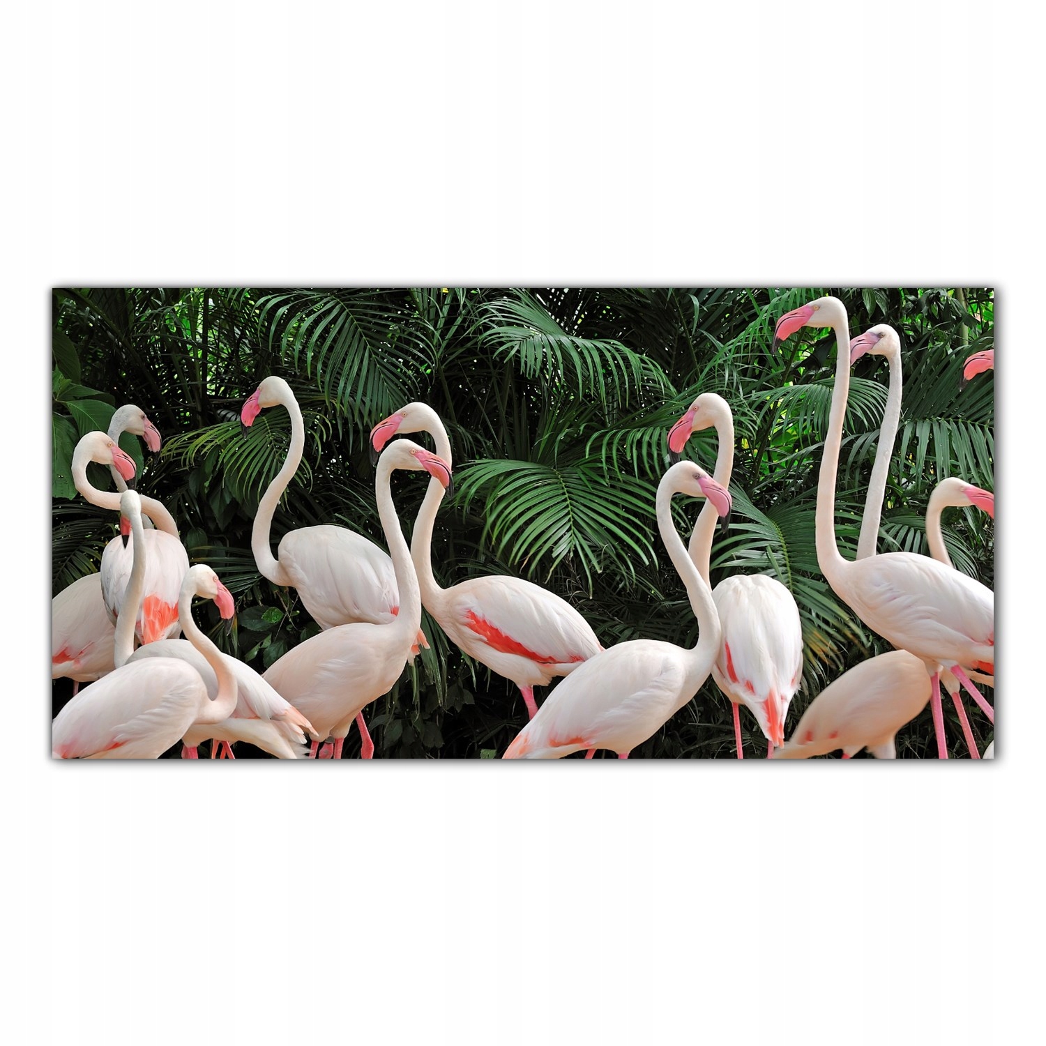 

Hartowany Obraz Szklany Flaming Ptak Afryka 100x50