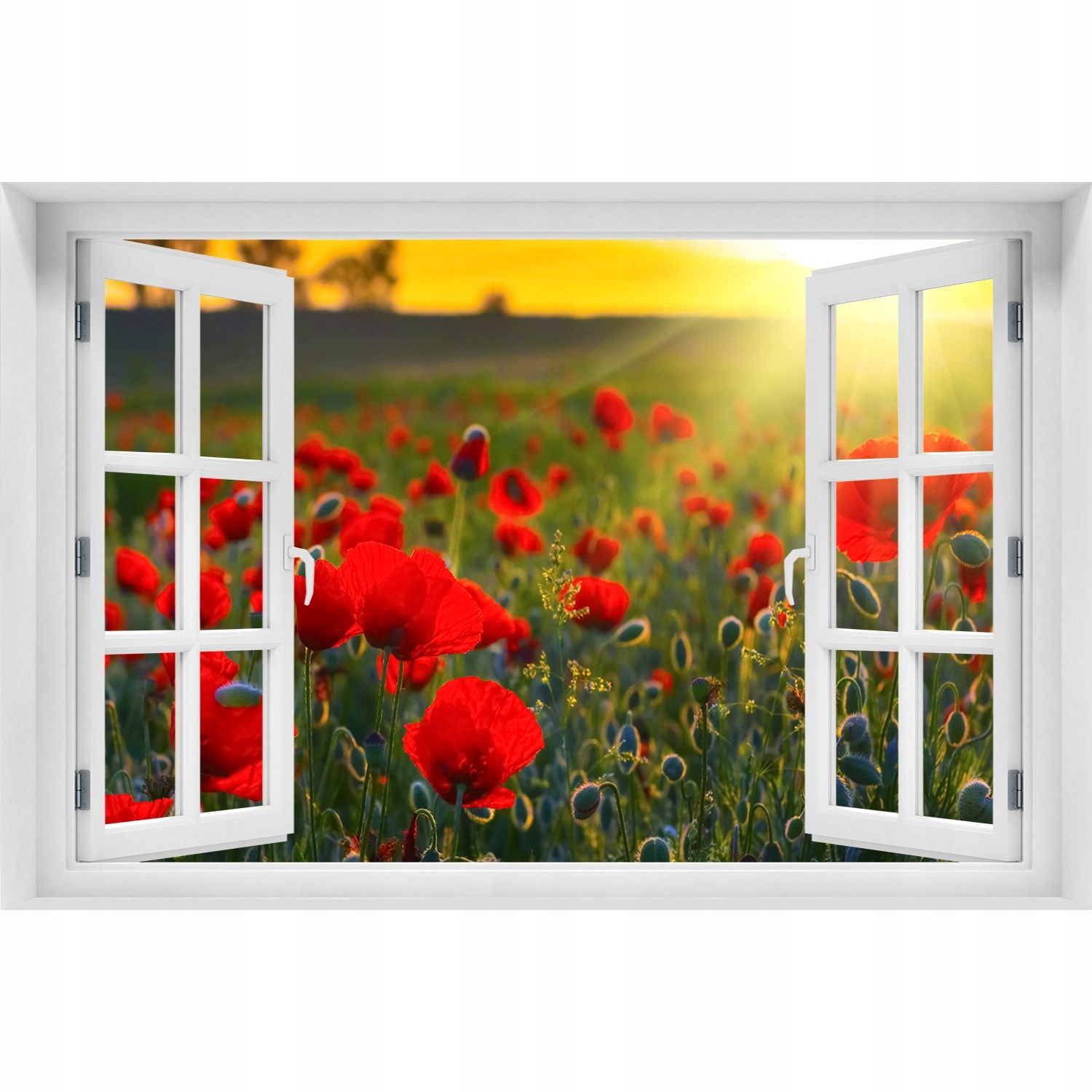 

Naklejka fototapeta 3D Okno Pole maków 150x100