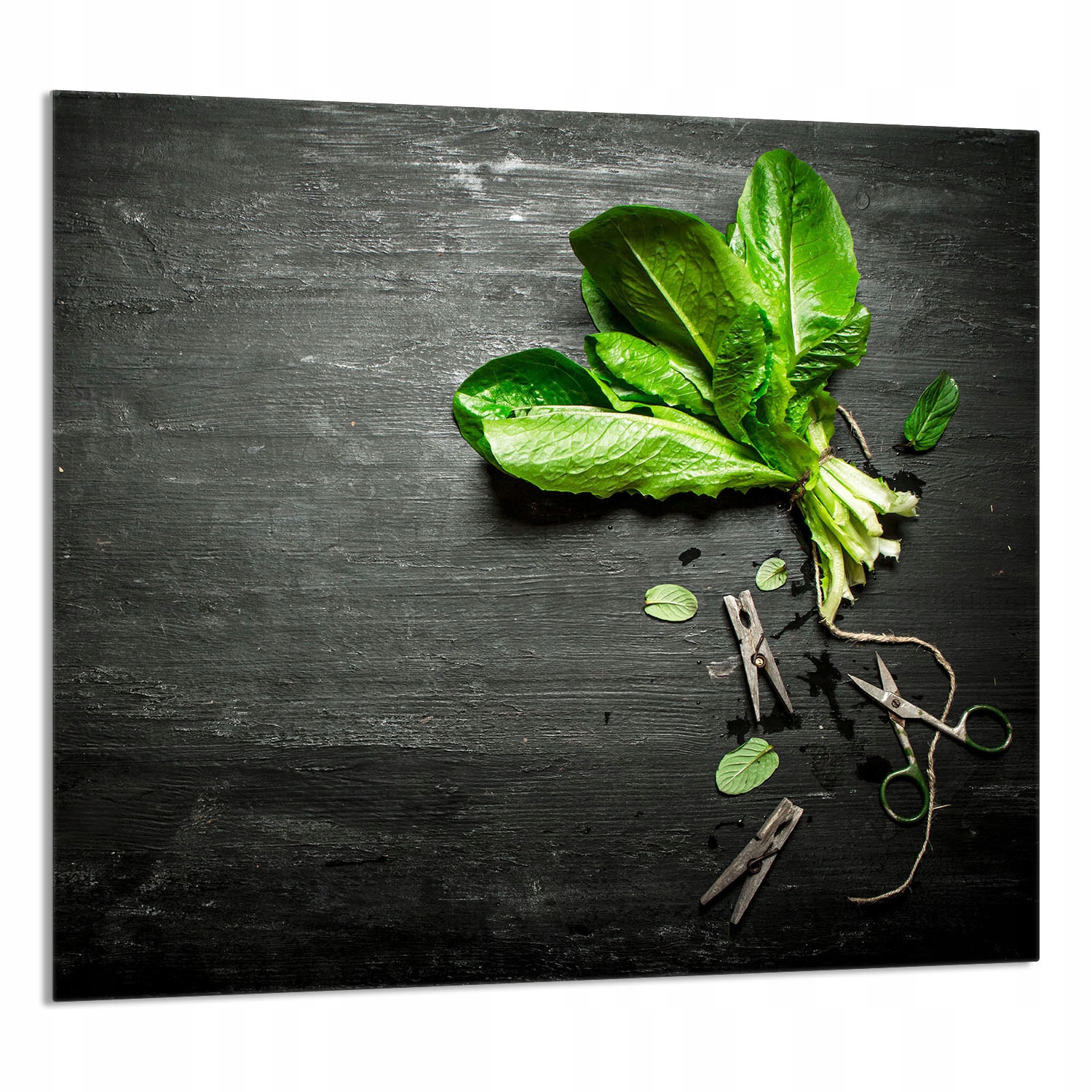 Skleněný Panel Do Kuchyně 65x60 Bazalka Tvrzené Sklo