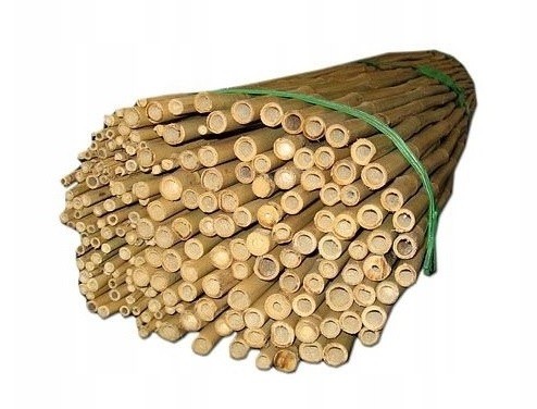 Bambusové tyče – dĺžka 150 cm, Ø 18-20 mm, op. 100 ks