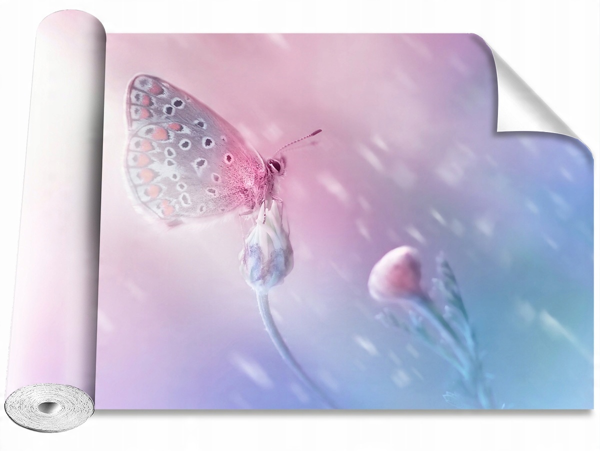 

Tapeta Samoprzylepna Motyl Kwiat 208x146