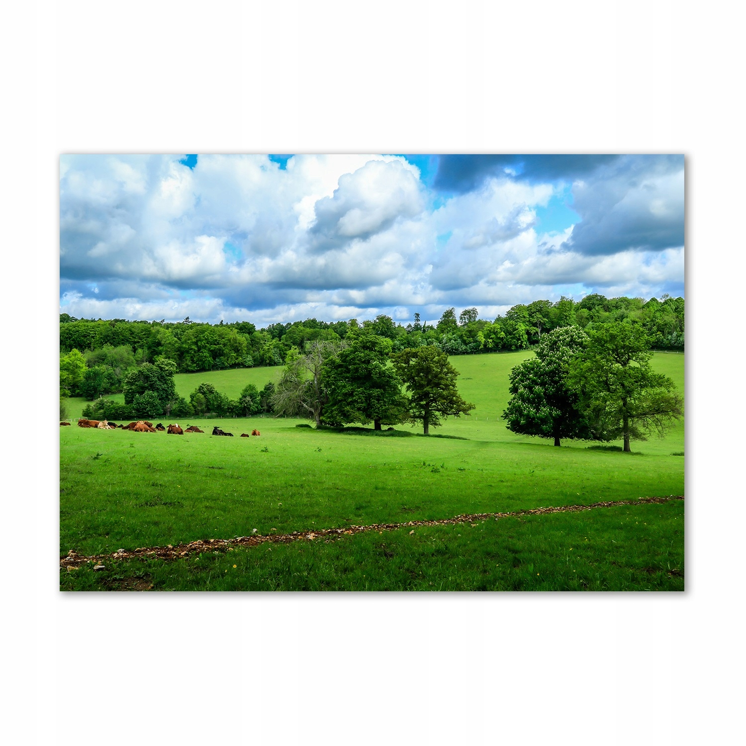 

Foto obraz szkło akryl Zielone wzgórza 100x70cm
