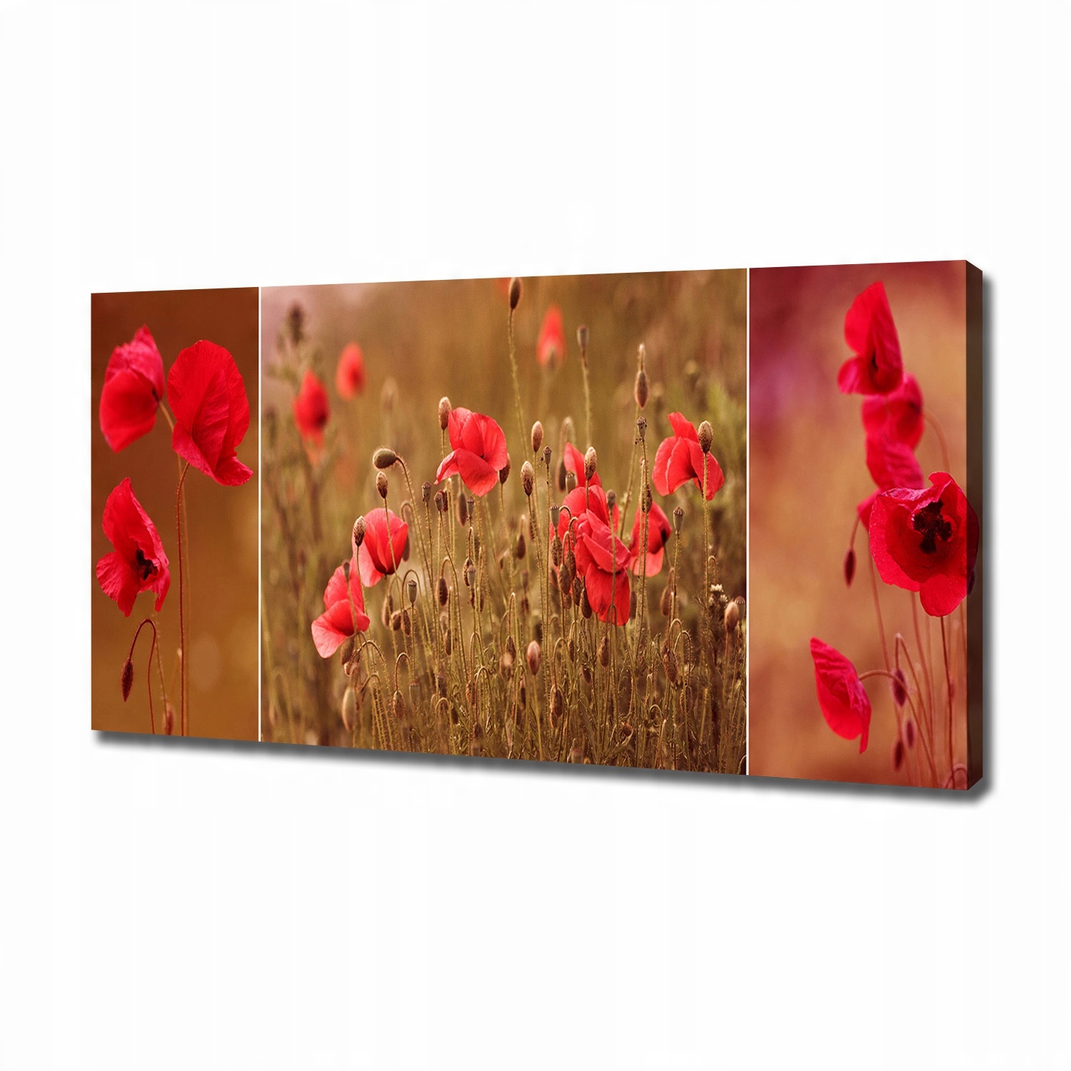 

Duży foto obraz na płótnie Maki mozaika 120x60 cm