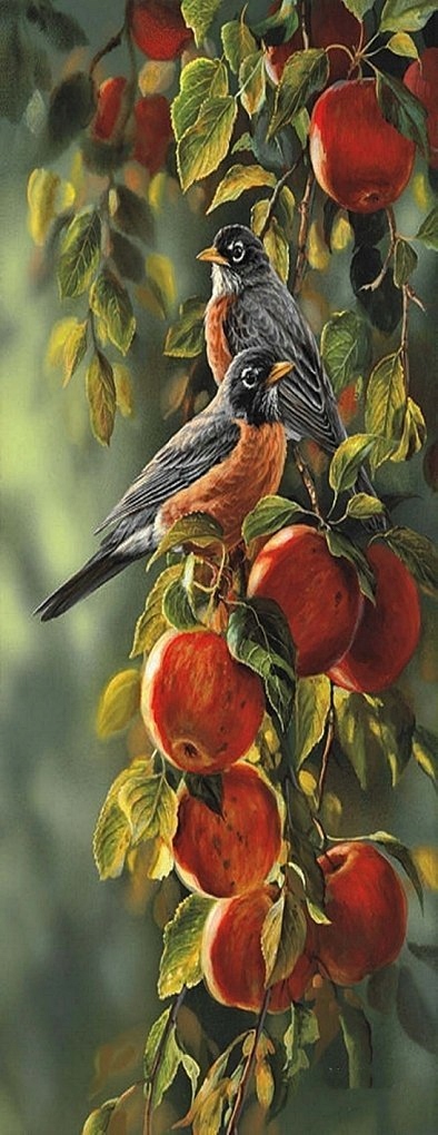 Diamantová Výšivka Diamond Painting Mozaika Ovocné Sýkorky 50x110 cm Sada