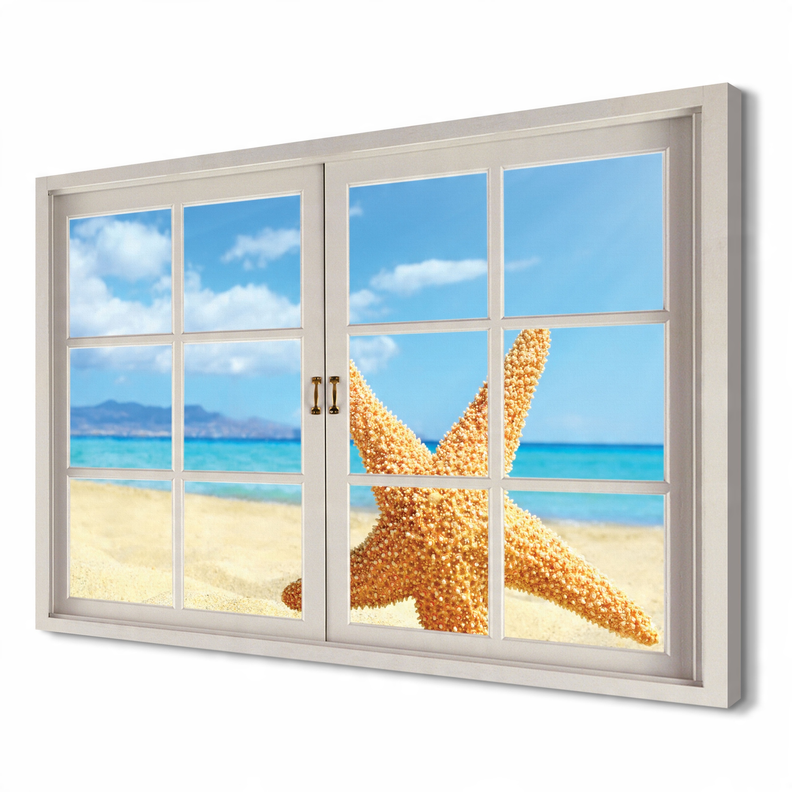 

Rozgwiazda Plaża do salonu 120x80 Obraz canvas 3d
