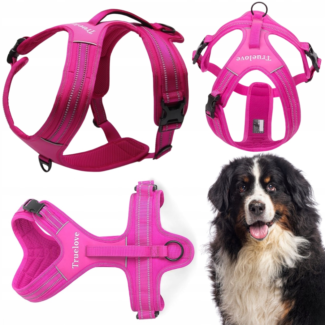 Levně Postroj Pro Psa Easy Walk S Reflexní Rukojetí Truelove Security Růžový XL