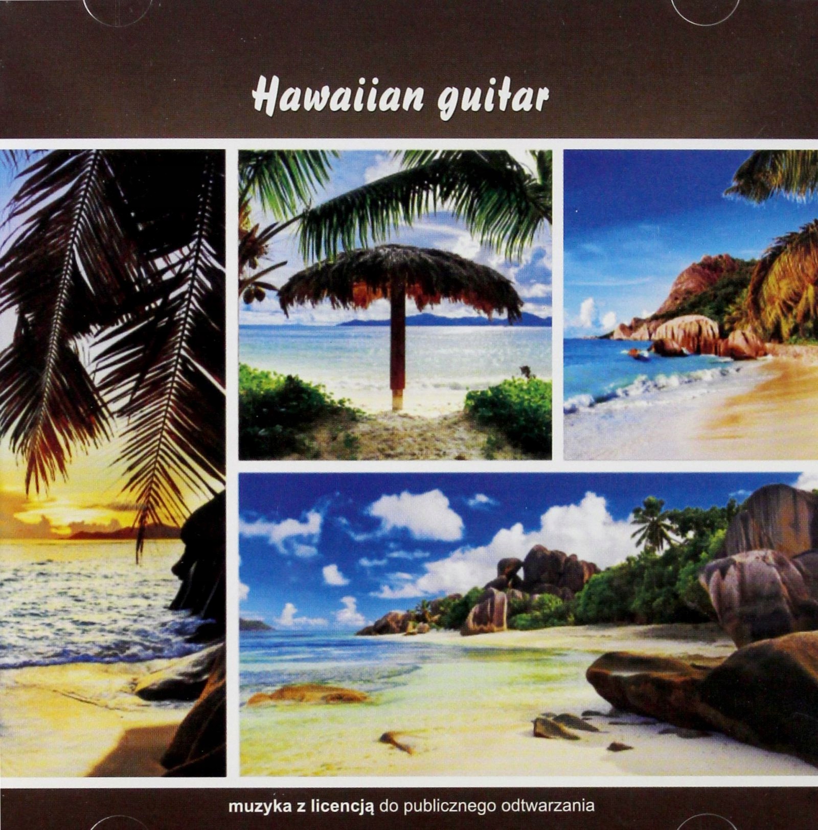 Hawaiian Guitar (CD)