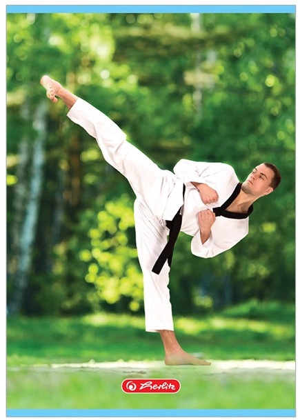 

Zeszyt A5 16 k 3 Linia trzylinia Kolor Sport Wz. 6