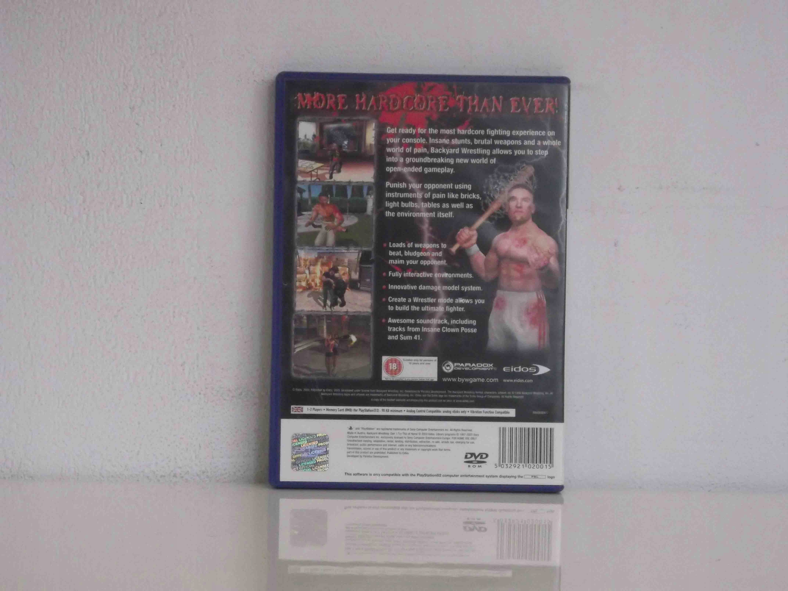 BACKYARD WRESTLING DON'T TRY THIS AT HOME PS2 Tematyka bijatyki