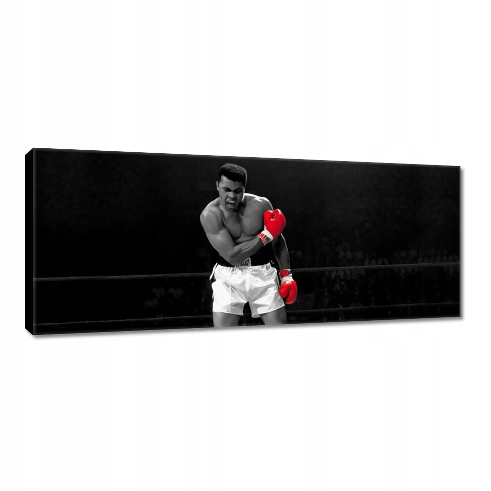 

Obrazy 100x40 Muhhamad Ali Boxer Bokser