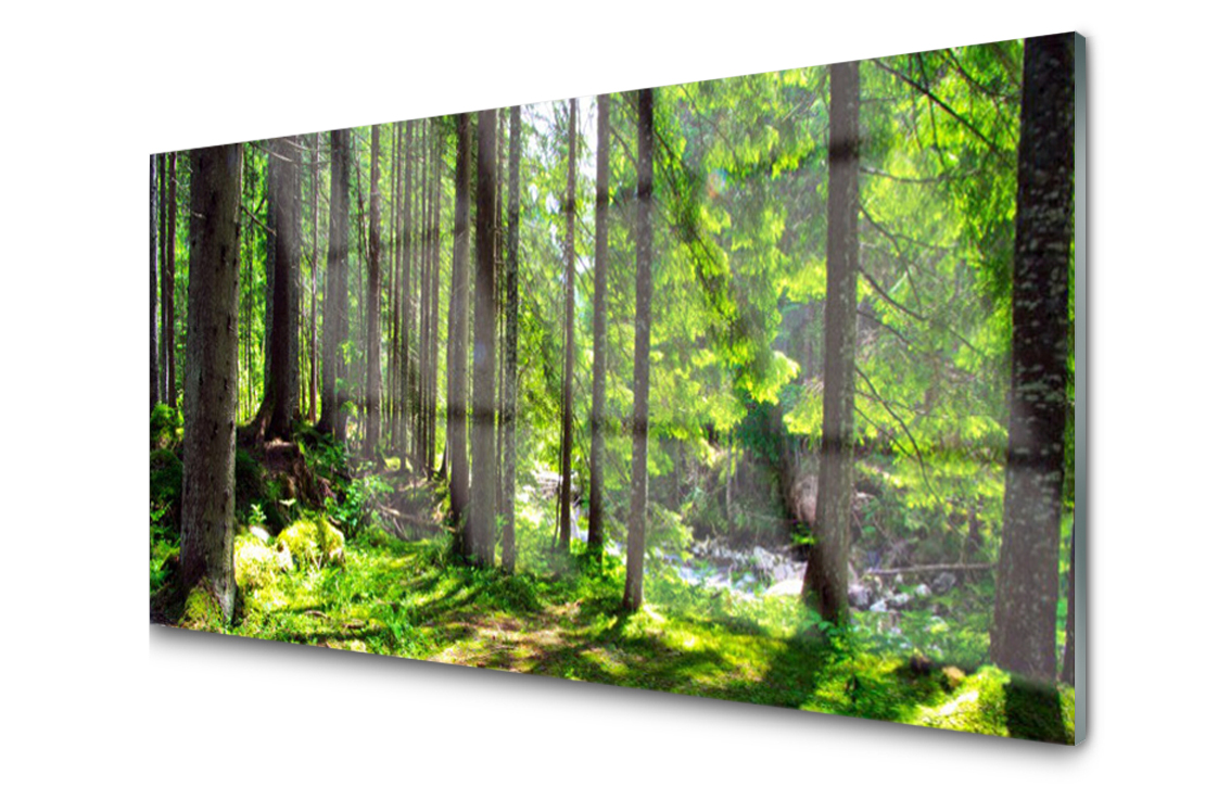 

Panel szklany Płytka Las Drzewa Roślina 120x60