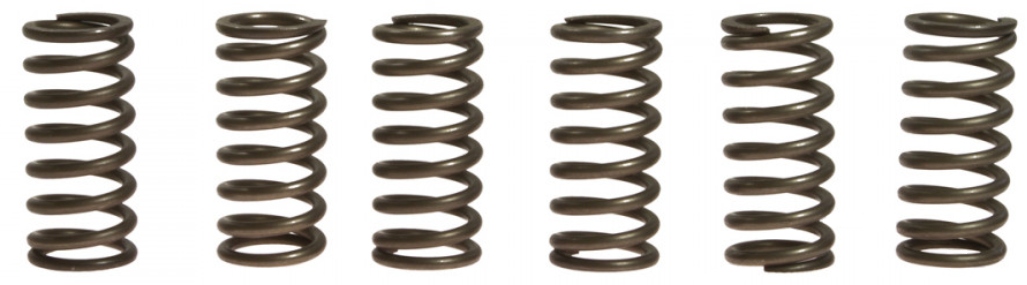 Spojkové pružiny Ktm Egs 200 98-14 Novinka