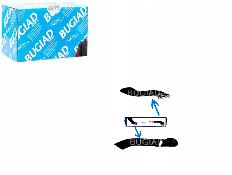 84615 - ВОЗДУХОВОД НАДДУВА [BUGIAD]