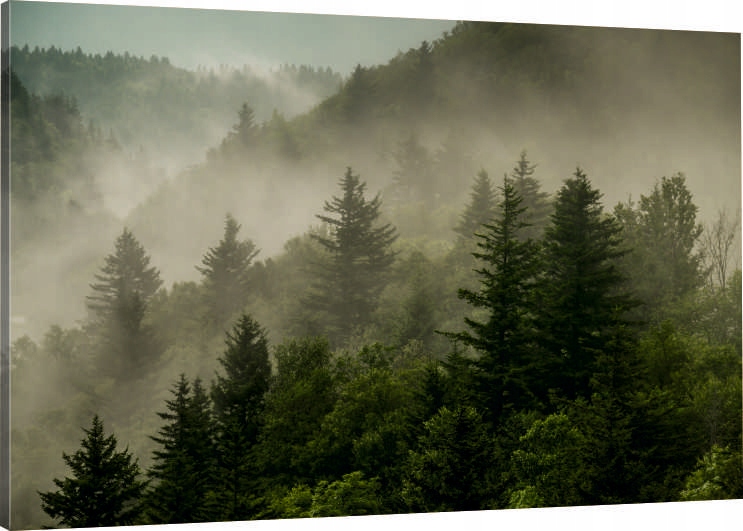 

Obraz Na Płótnie góry las mgła Wybór 110x70