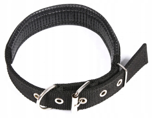 MOCNA OBROŻA DLA PSA TAŚMOWA REGULOWANA 37-47cm