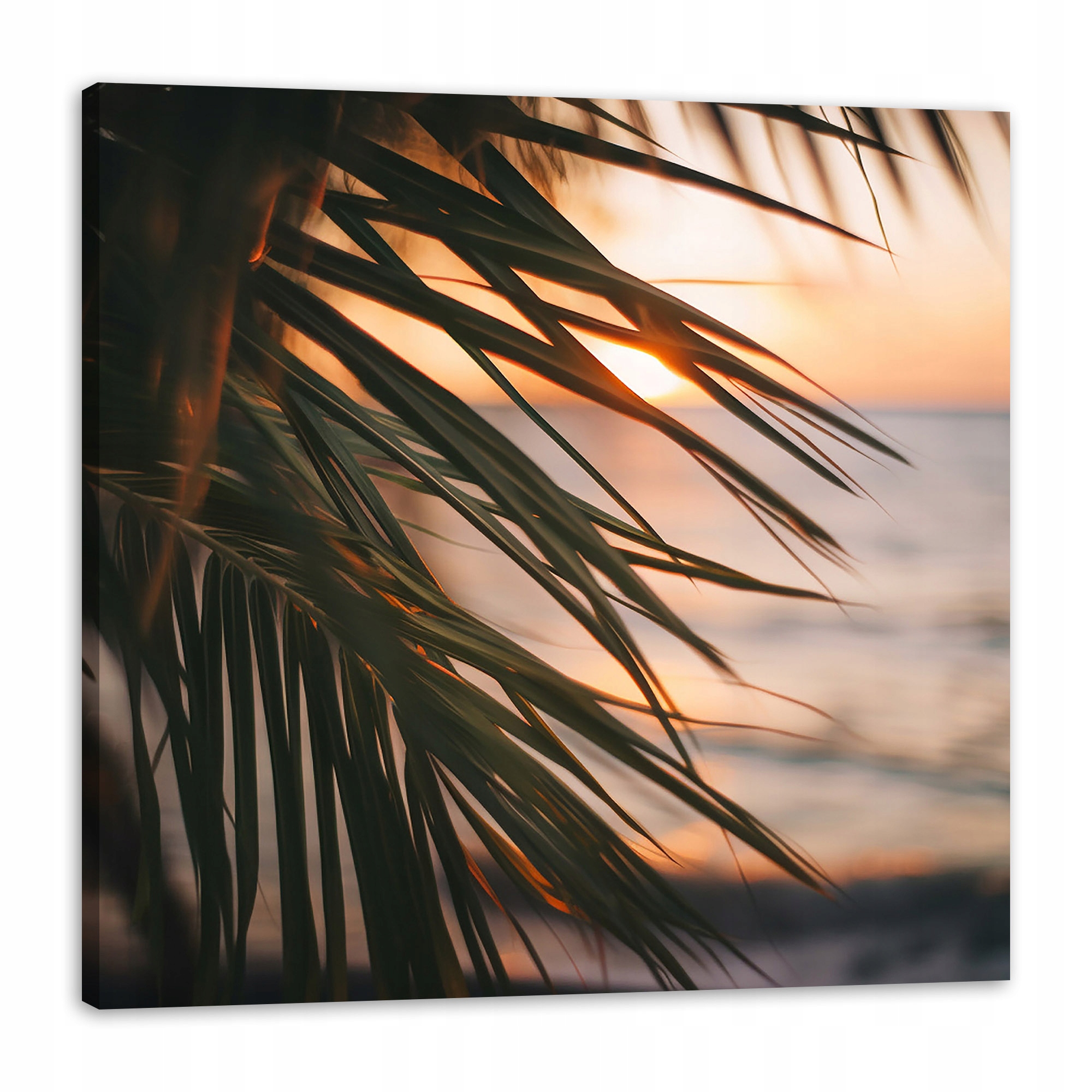 Obraz na plátně Příroda Pláž Palma Moře Západ Slunce 90x90