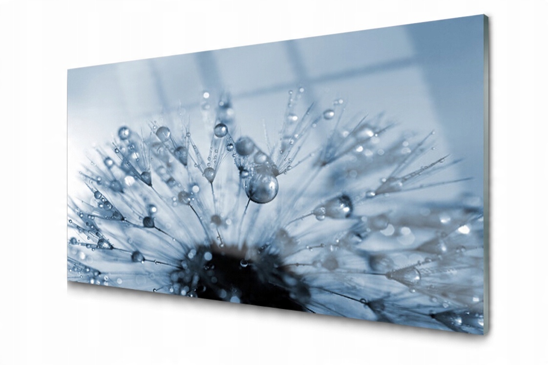 

Panel szklany Płytka Dmuchawiec Kwiat 140x70
