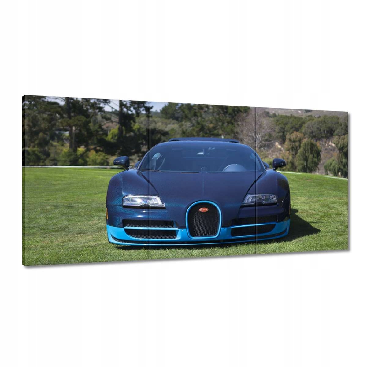 Obrazy 180x90 Bugatti Auto