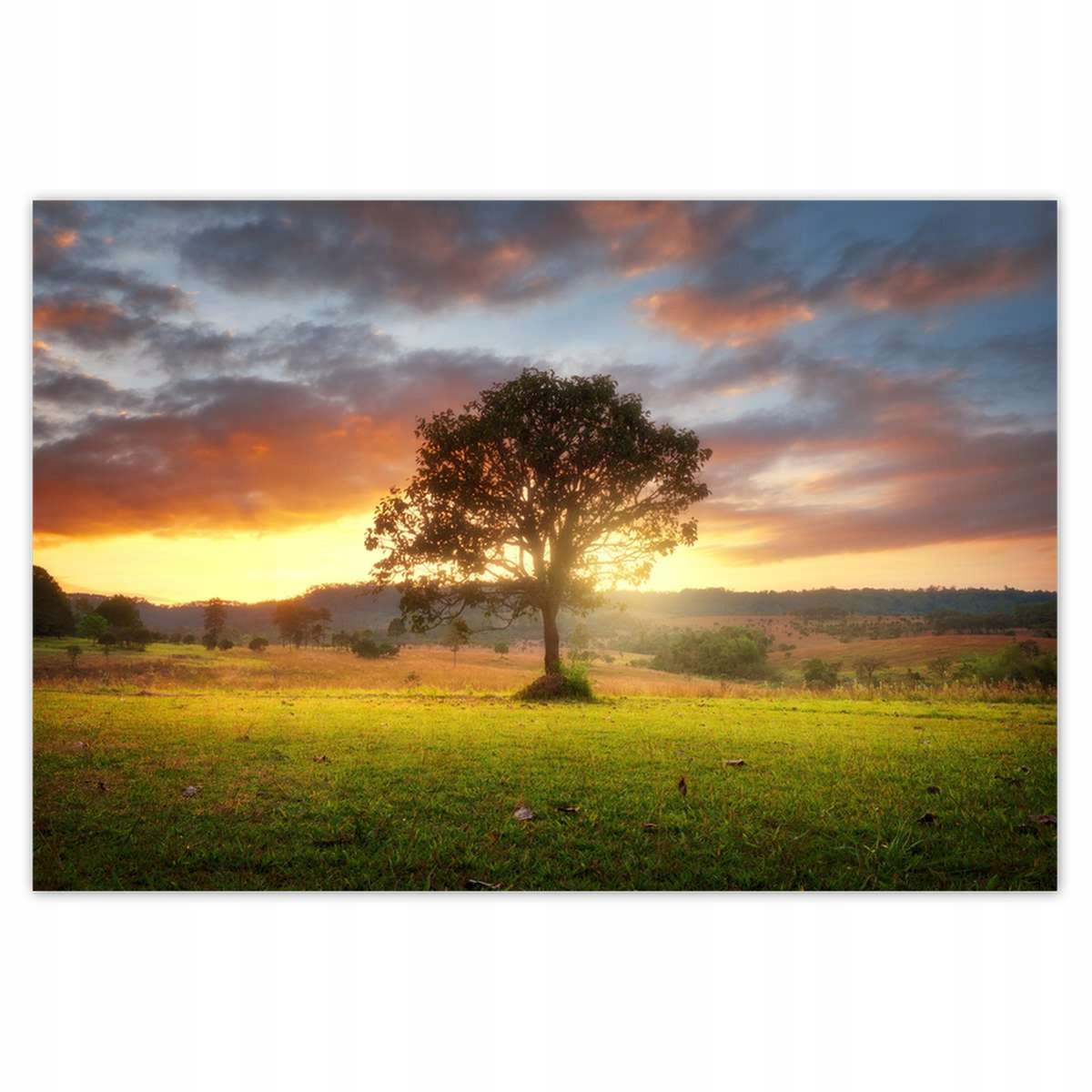 Plakáty 200x135 Kouzelná krajina