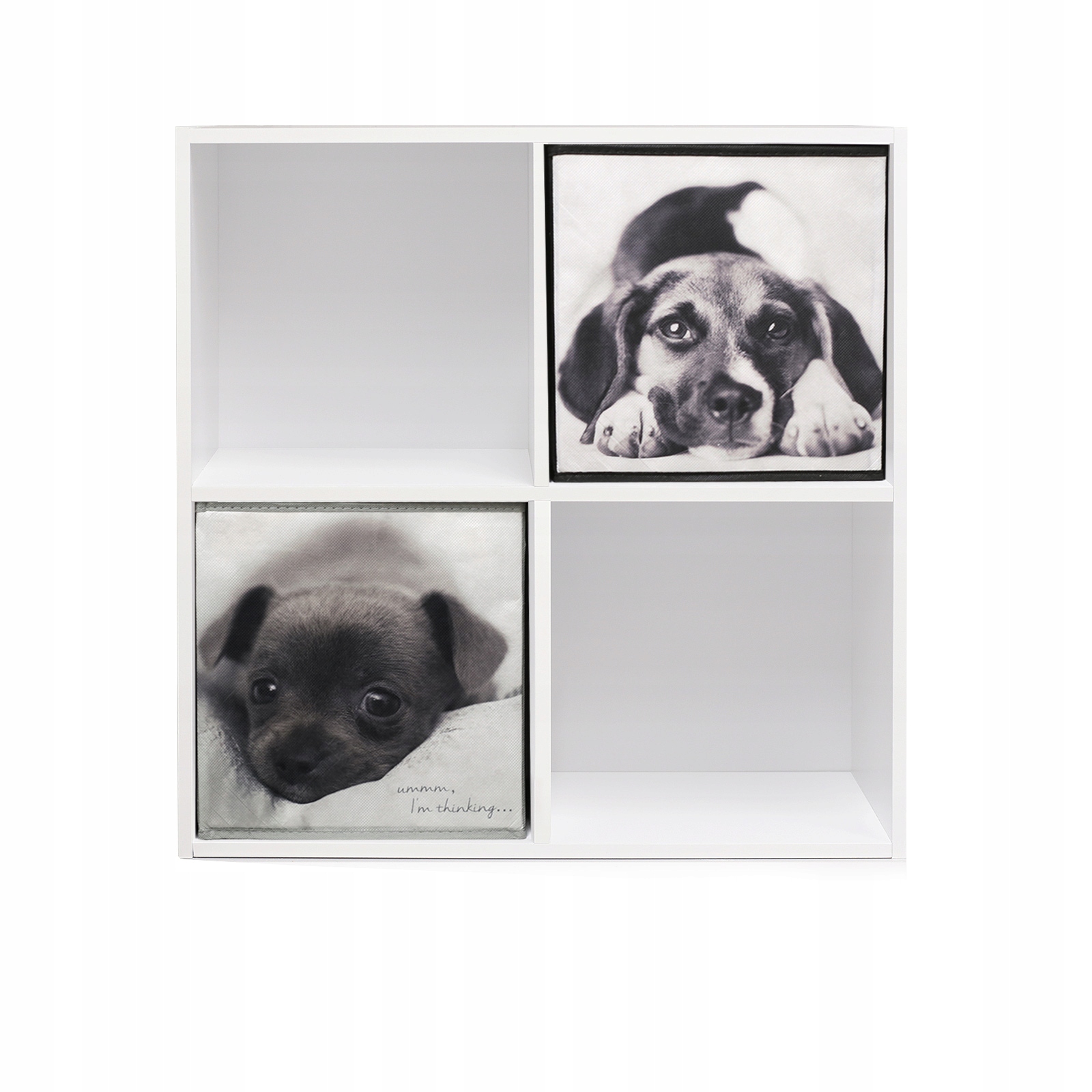 REGAŁ PODŁOGOWY PÓŁKA NA KSIĄŻKI PŁYTY I WSZYSTKO INNE BIAŁY 2x2 Marka Product Placement