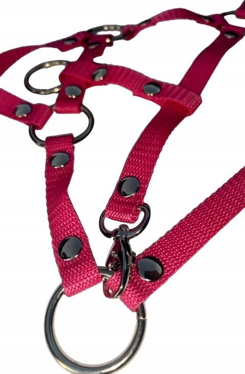 Kantar dla hobby horse A3 - czerwony, regulowany Rodzaj Kantar