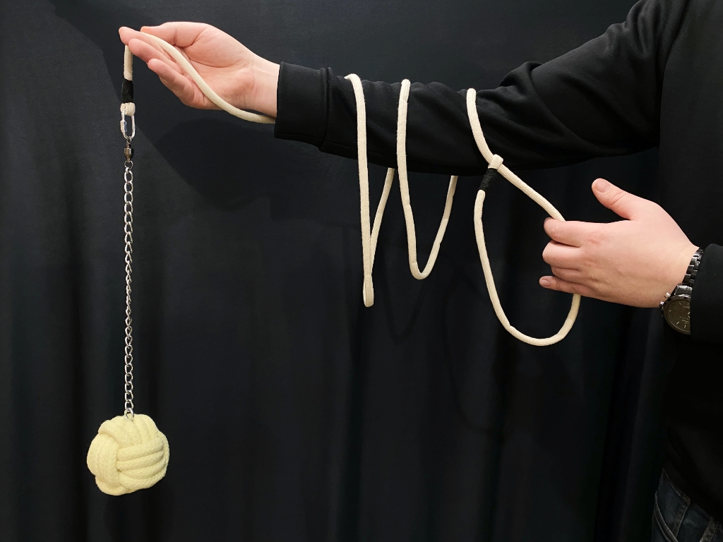 Smoczy ogon Marka bez marki