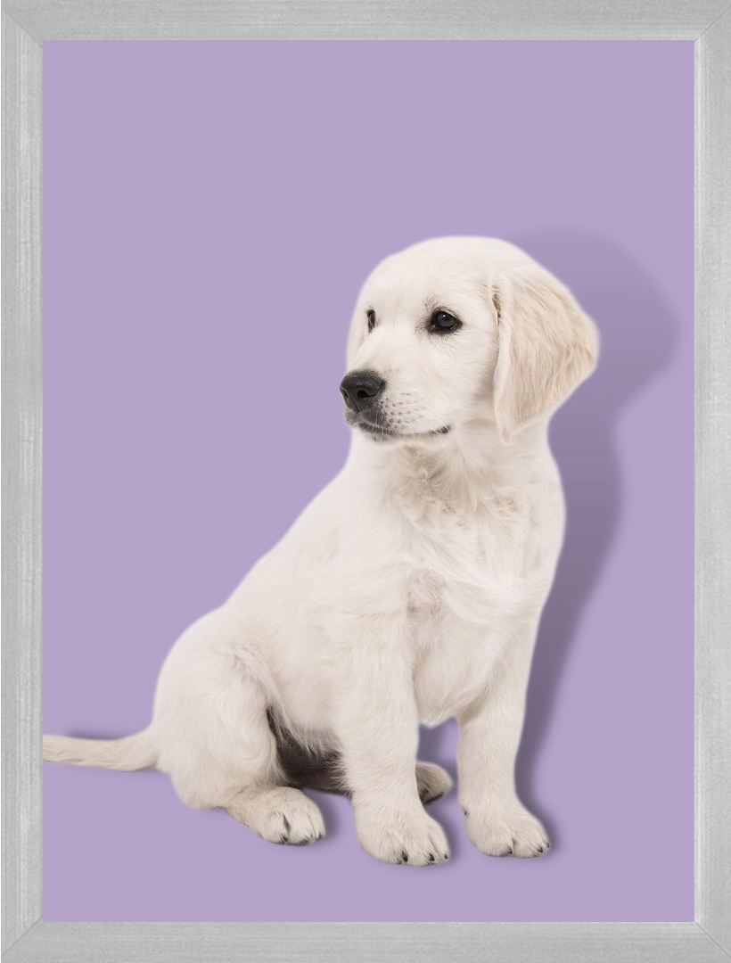 

Ramka na zdjęcia 30x40 srebrna foto ramki