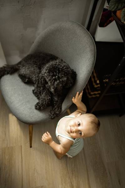 Panele Winylowe LVT Samoprzylepne Authentic Nature Kolor jasny brązowy