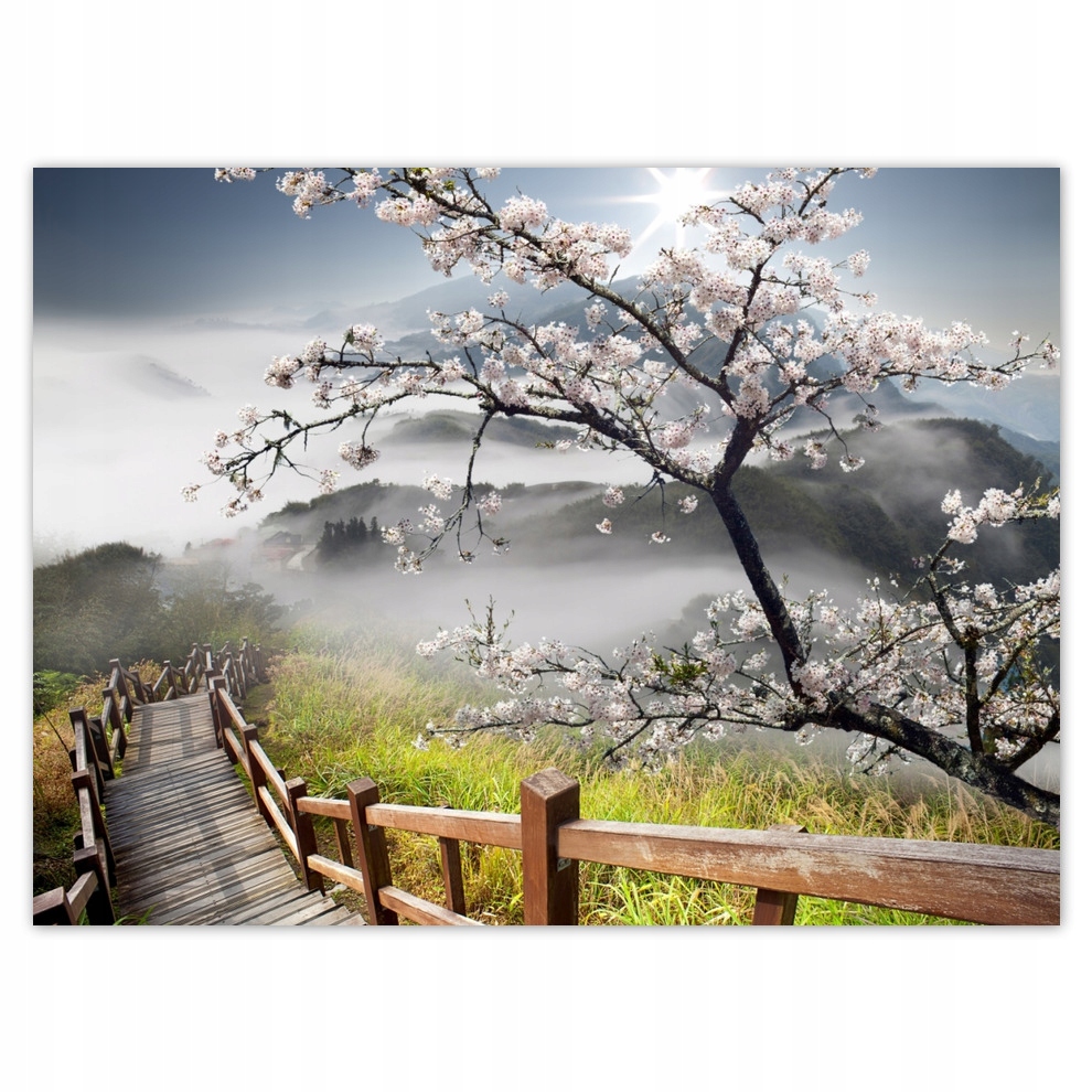 

Naklejki 135x100 Japonia Kwitnąca wiśnia