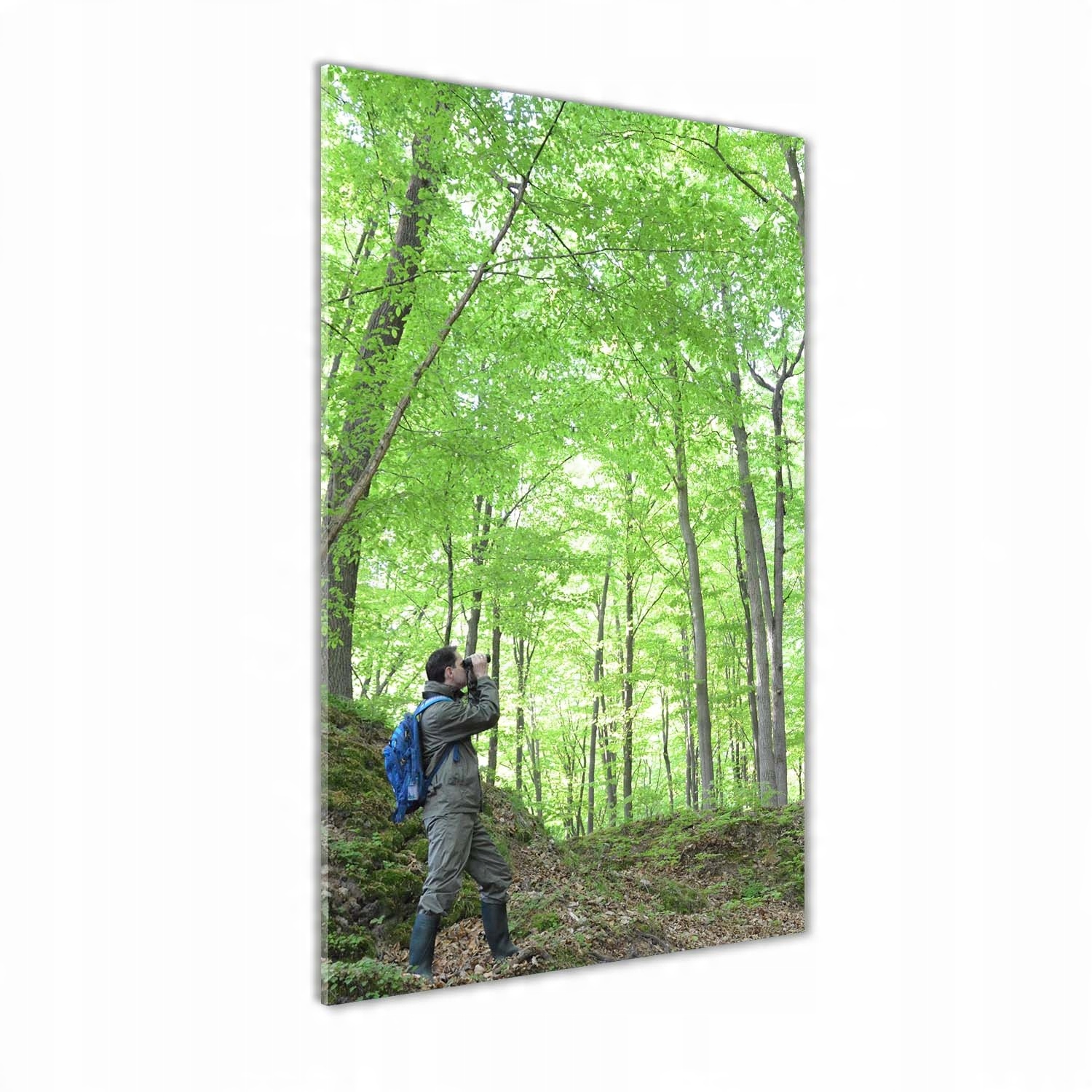 

Foto obraz akrylowy na ścianę Ornitolog 70x140cm