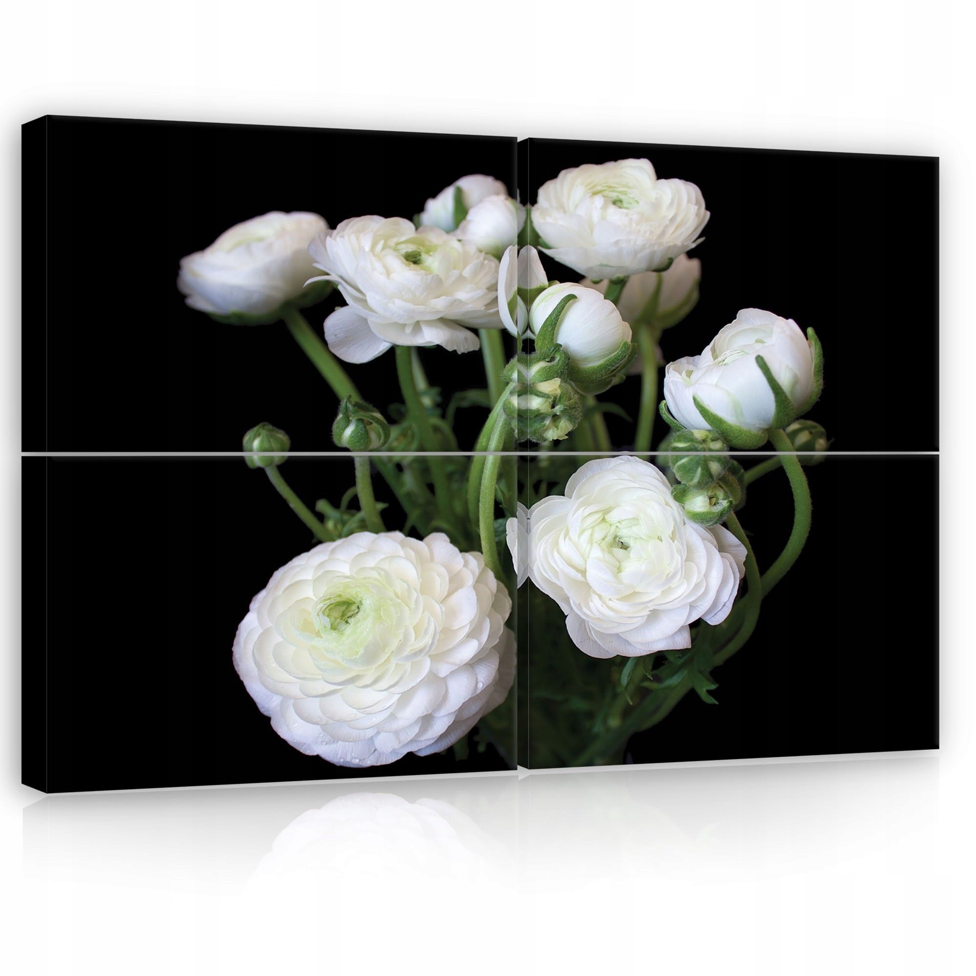 Obraz 120x80 Bílé květy ranunculus květinová příroda dekorace na zeď