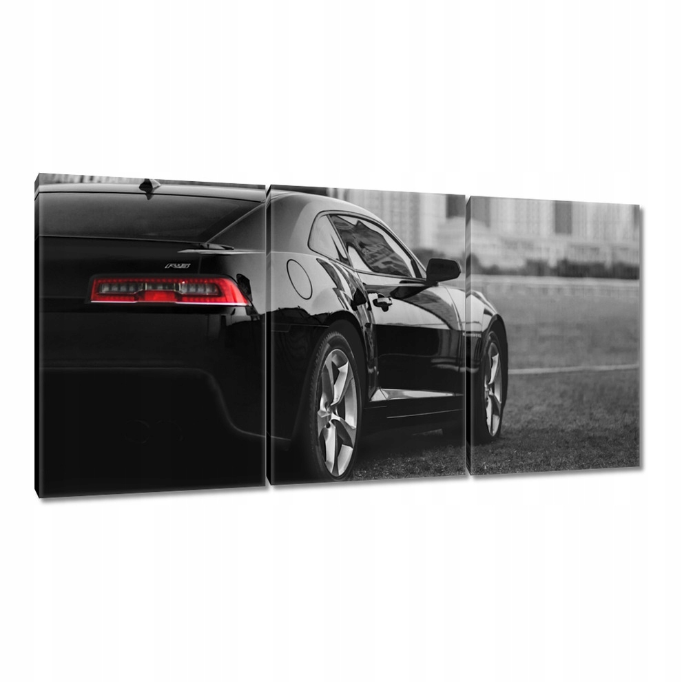 

Obrazy 120x60 Chevrolet Camaro R5 Auto