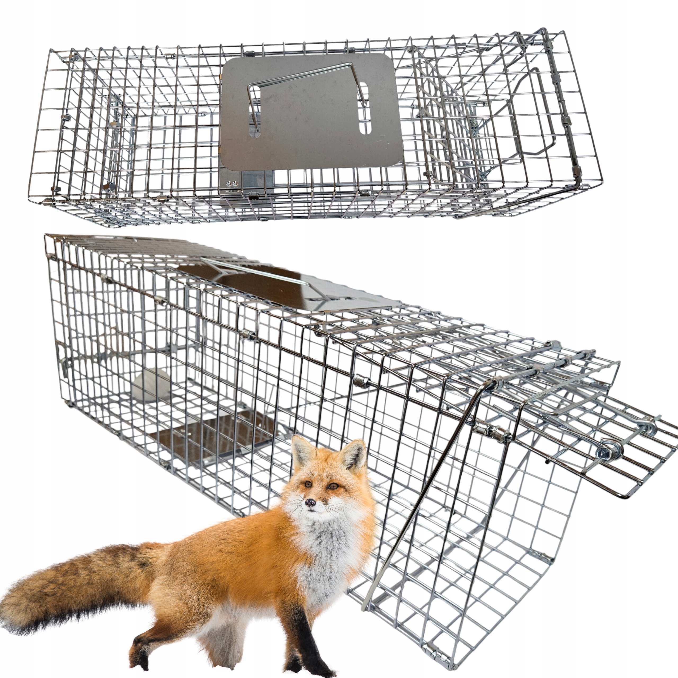 Żywołapka Humanitarna Klatka Metalowa Pułapka Na Kuny Lisy Koty 78x32x28cm