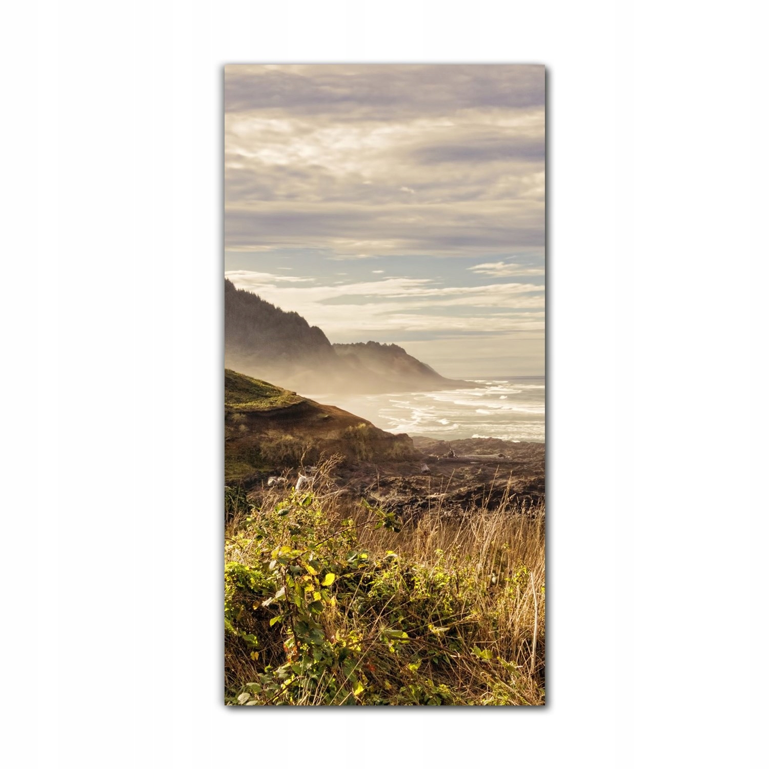 

Foto-obraz szklany do salonu 70x140 Oregon natura