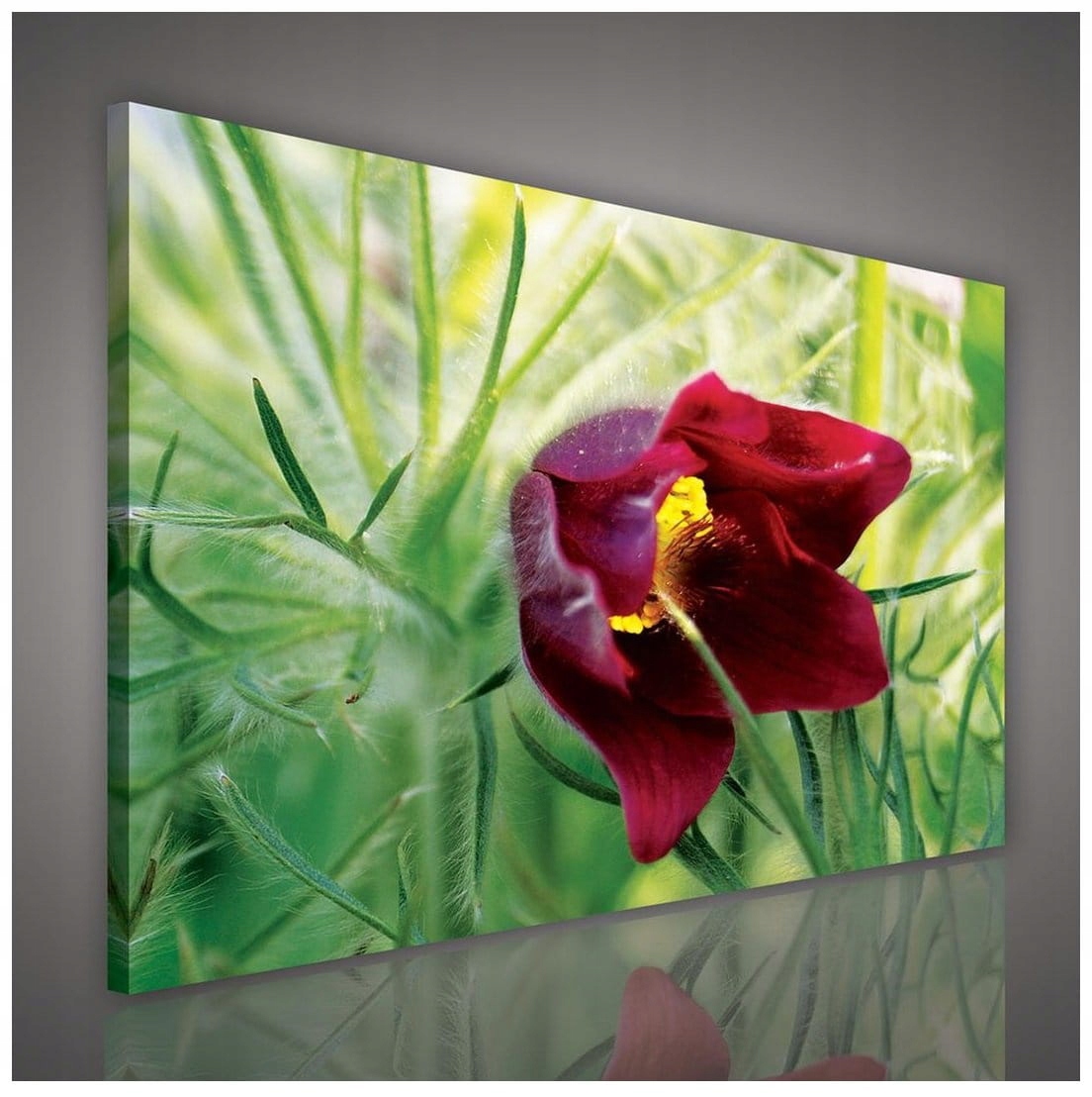 Obraz 100x75 Makro květina červená zelená příroda jaro klid světlo