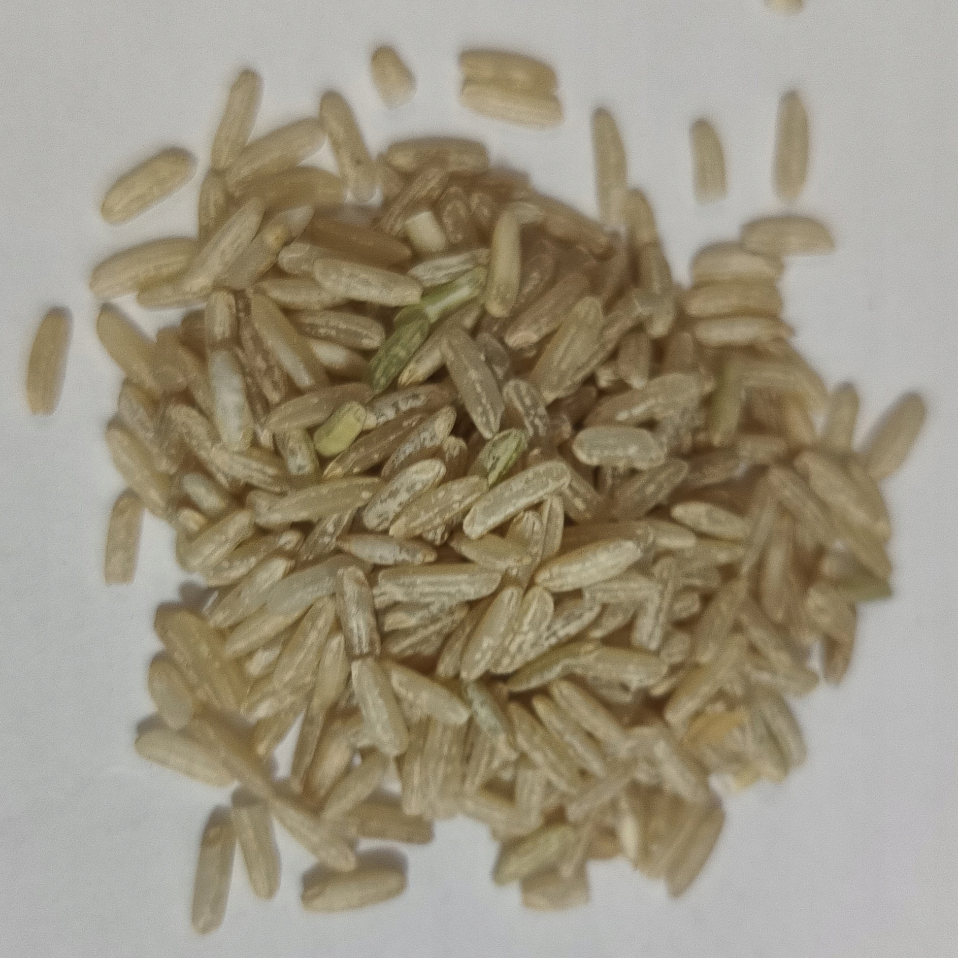 Ryż Naturalny Brązowy 1 Kg Rafex