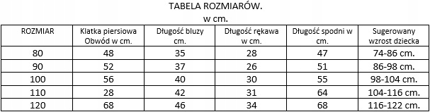 BIELIZNA NOCNA- PIŻAMKA dla dzieci R.120 EAN (GTIN) 5903957254258