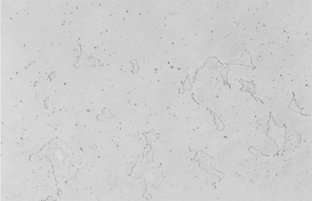 FARBA BETONOWA EFEKT BETONU 4-5m2 v ELBRUS LT Marka Primacol