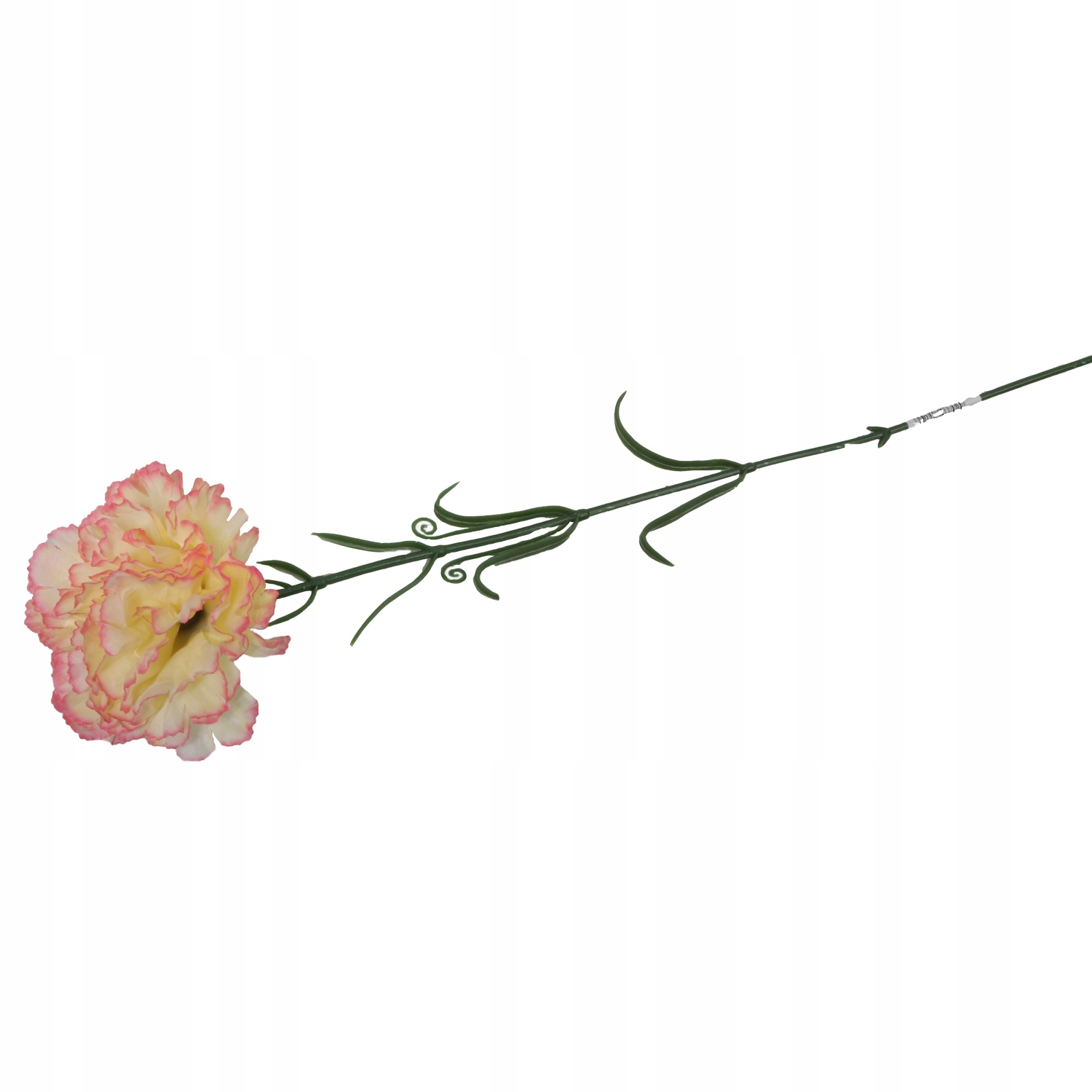 GOŹDZIK ŻÓŁTY CIENIOWANY Rodzaj galązki