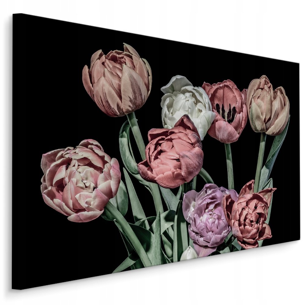 Obraz Pastelové Květiny Tulipány Příroda 3D 100x70