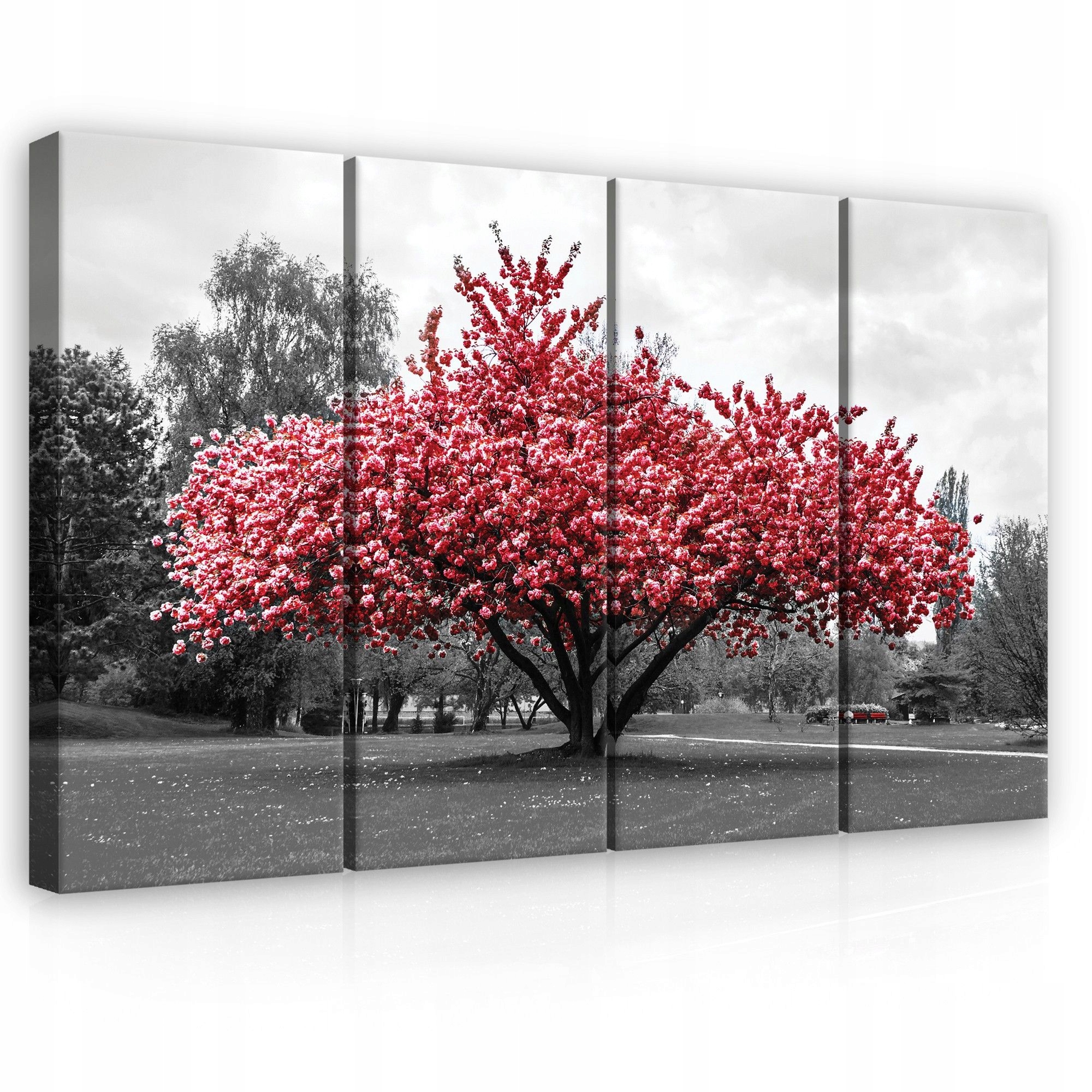 Obraz 120x80 Kvitnúci strom kvitnutie jar príroda sakura park farba