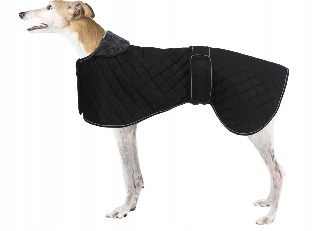 Levně Zimní bunda pro psa Babepet – černá, velikost L