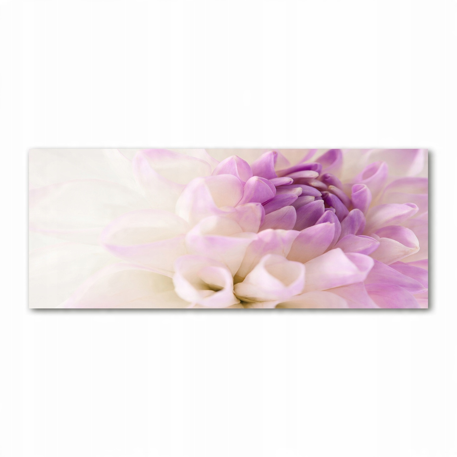 

Foto obraz akryl nowoczesny Biała dalia 125x50cm