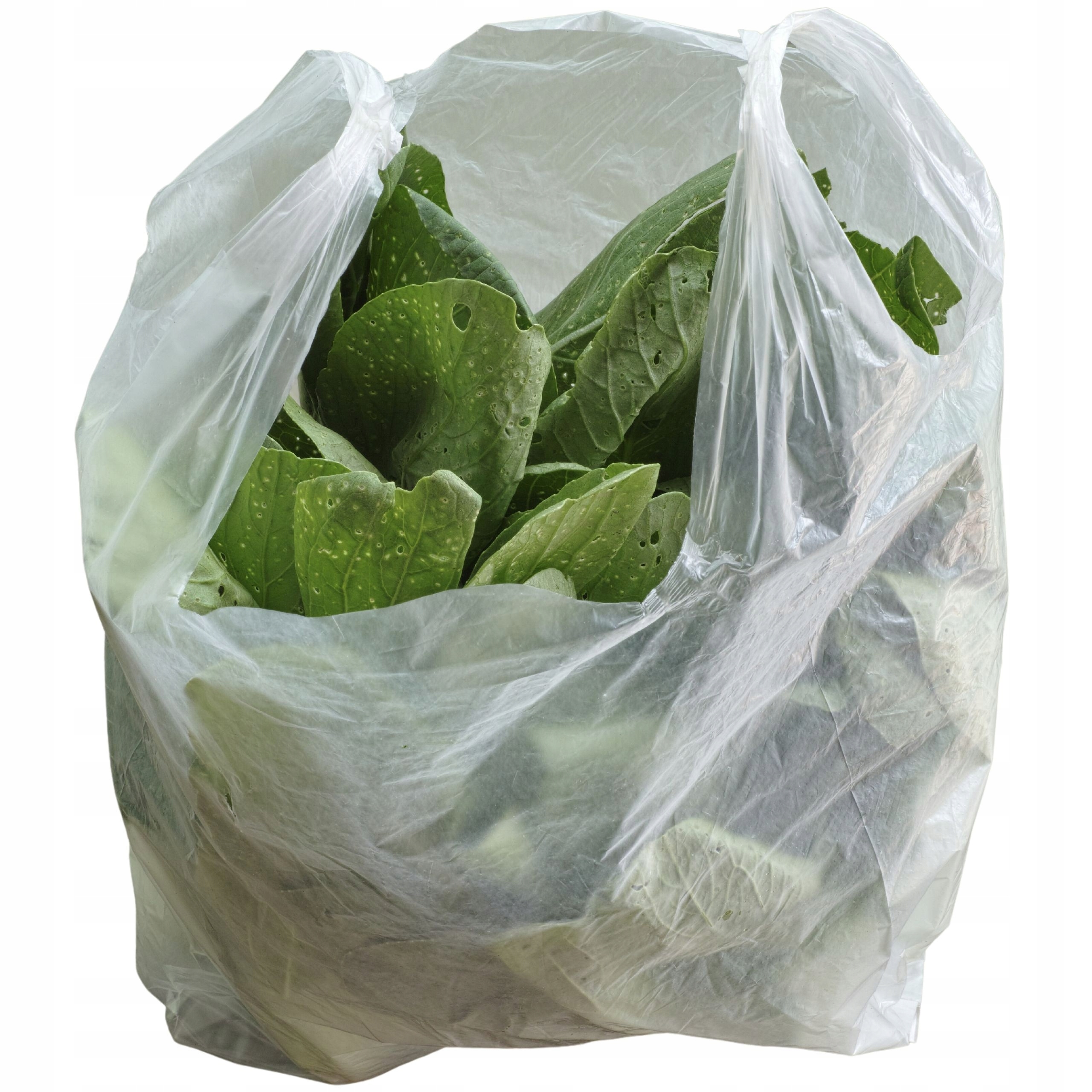 PACLAN EXPERT REKLAMÓWKA NA ROLCE 5 KG Rodzaj folii LDPE